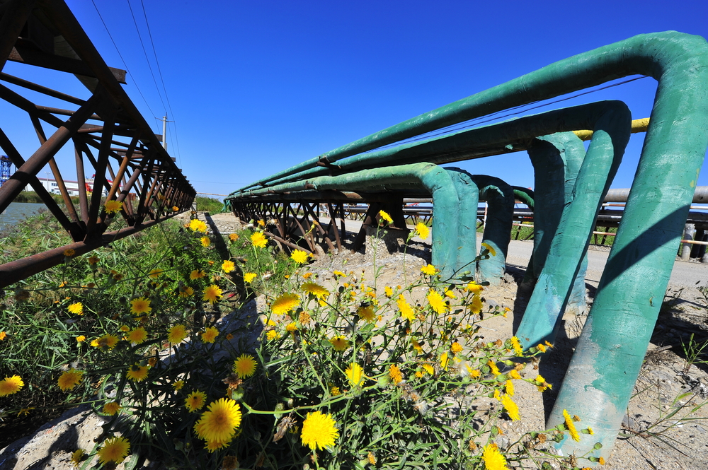NATURAL GAS OVERLOOKED IN OBAMA’S CLEAN POWER PLAN
